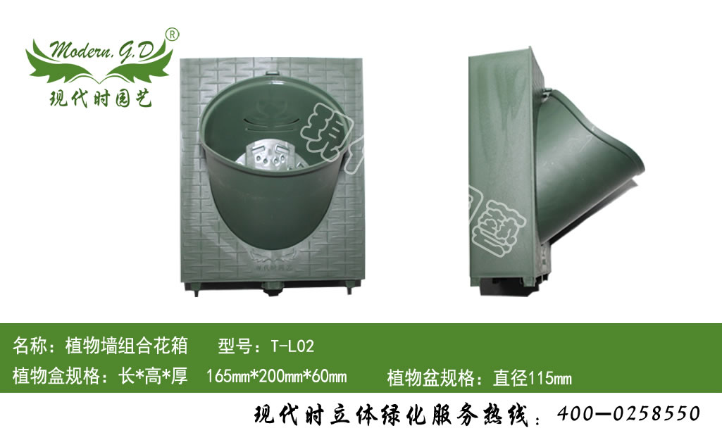 ֲ��M�ϻ��� ��̖��T-L02